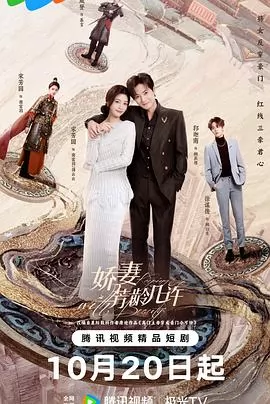 娇妻芳龄几许